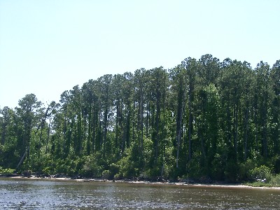 05130020.jpg