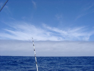 06090026.jpg