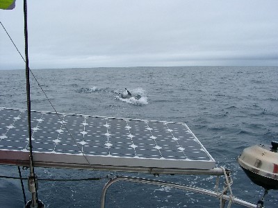 08070017.jpg