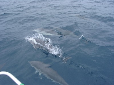 08070026.jpg
