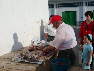 08140054.jpg
