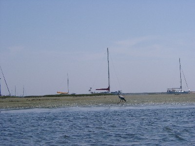 09020021.jpg