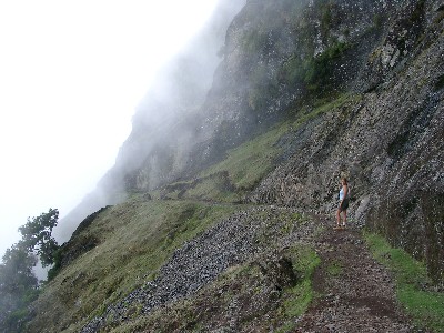 09290040.jpg