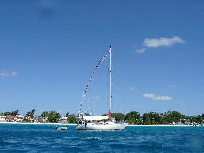 12250069.jpg